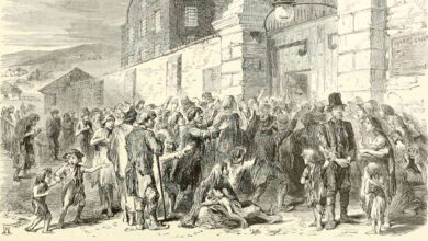 The Irish Potato Famine