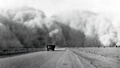The Dust Bowl