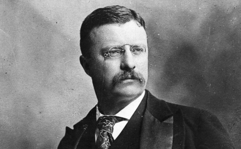 Theodore Roosevelt Compact Histories