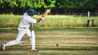 The History of Cricket