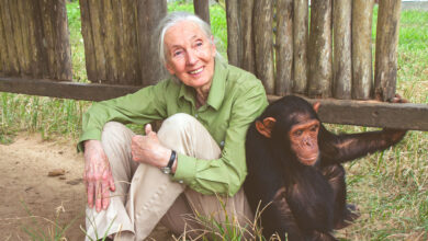 Jane Goodall