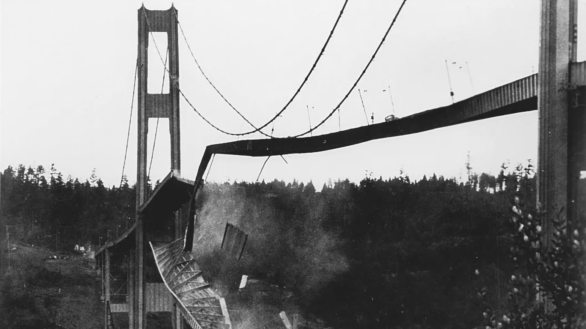 The Collapse of the Tacoma Narrows Bridge