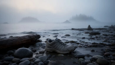 The Mystery of the Salish Sea Feet